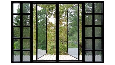 large-windows-black-aluminum-swing-260nw-788319139